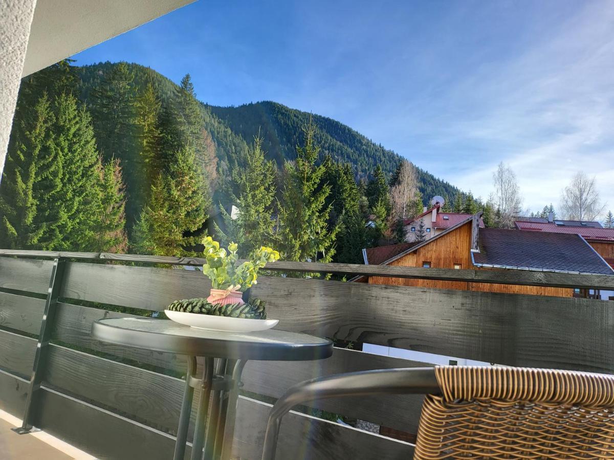 Dinvis Apartments 波亚纳布拉索夫 外观 照片